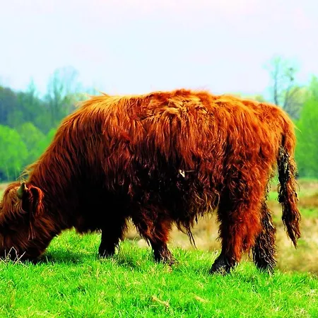 Fletcher Restaurant De Geulvallei Hotell Valkenburg aan de Geul