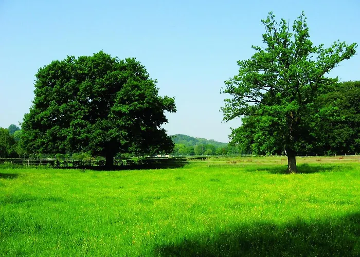 弗莱彻酒店 酒店 3*