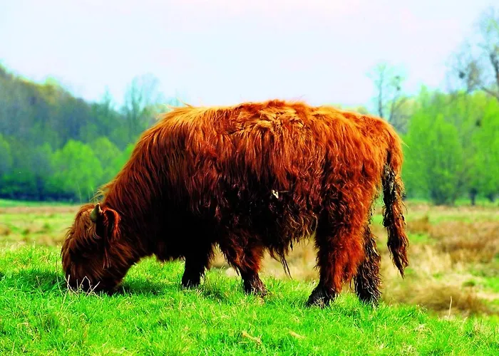 Fletcher Restaurant De Geulvallei Hotel Valkenburg aan de Geul