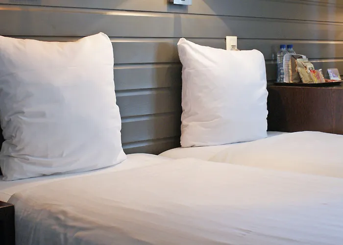 酒店 弗莱彻酒店 3*