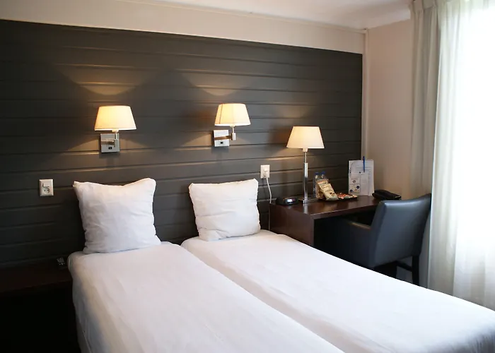 弗莱彻酒店 酒店 3*